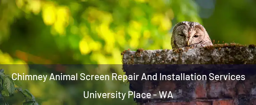  Chimney Animal Screen Repair And Installation Services University Place - WA