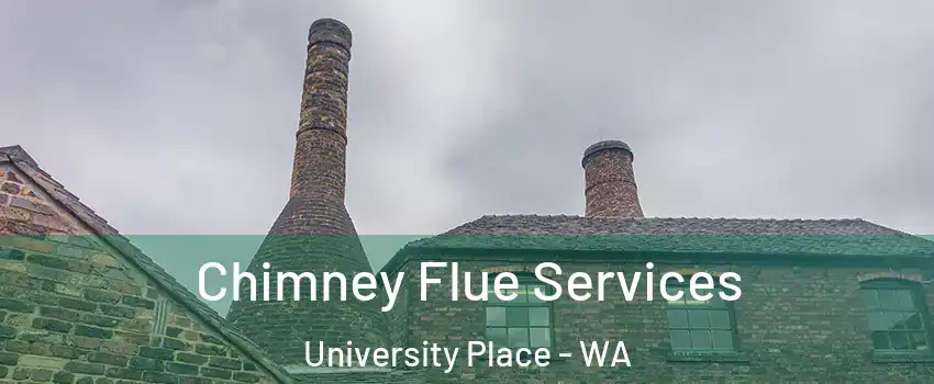  Chimney Flue Services University Place - WA