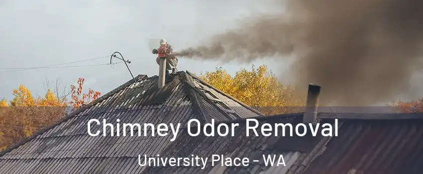  Chimney Odor Removal University Place - WA
