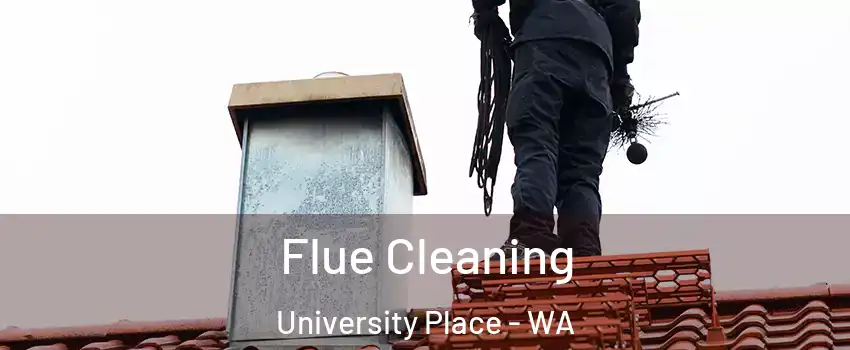  Flue Cleaning University Place - WA