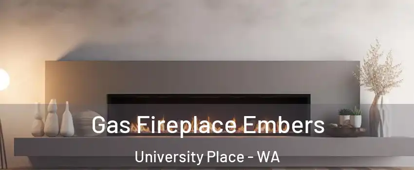  Gas Fireplace Embers University Place - WA