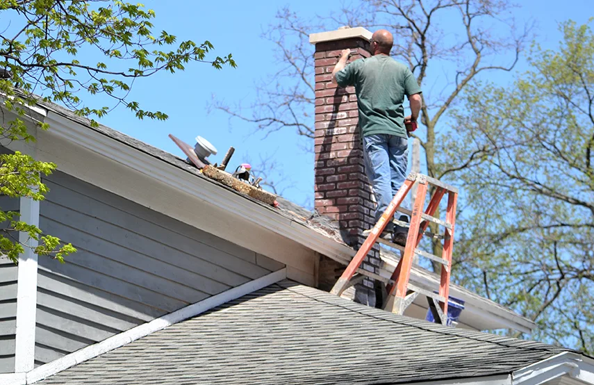 Chimney & Fireplace Inspections Services in University Place, WA