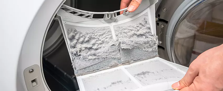 Best Dryer Lint Removal Company in University Place, Washington