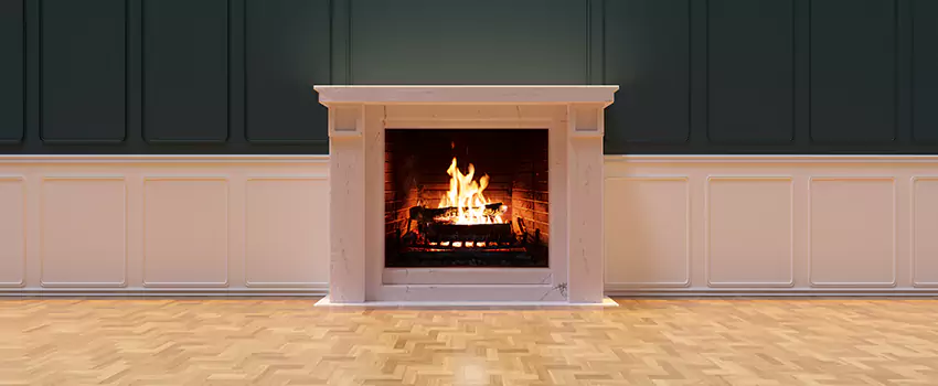 Napoleon Electric Fireplaces Inspection Service in University Place, Washington