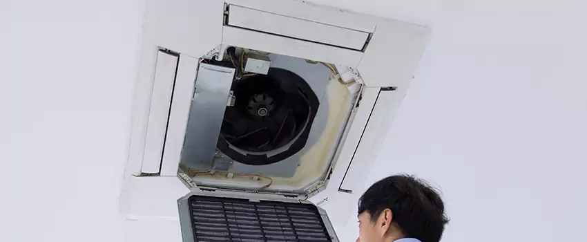 Benefits of Professional Air Duct Cleaning in University Place, Washington