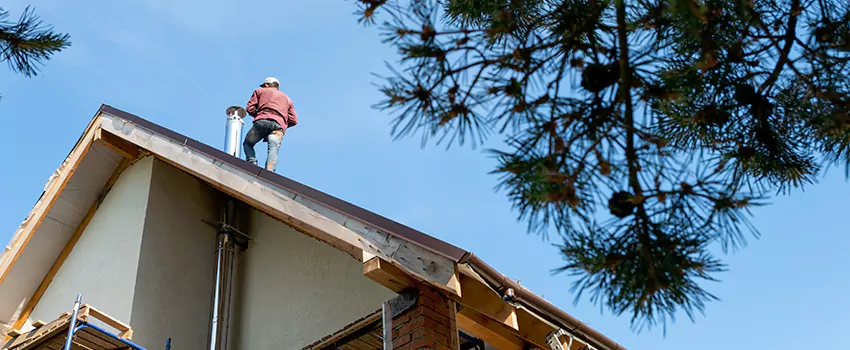 Birds Removal Contractors from Chimney in University Place, WA