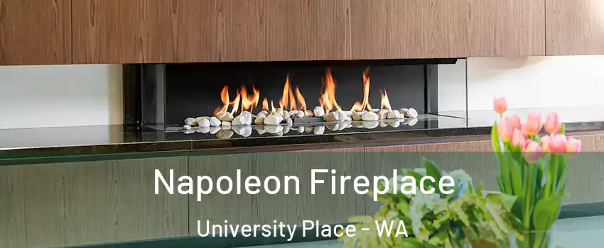  Napoleon Fireplace University Place - WA